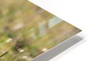 Tag HD Metal print