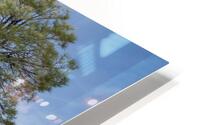 White Pocket Lone Tree HD Metal print