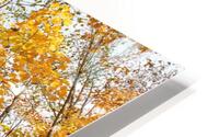 Superior colors HD Metal print