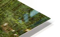 Fern river NZ HD Metal print