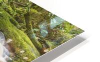 Babbling brook HD Metal print