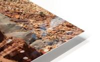 Downhill HD Metal print