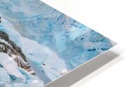 Penguin Beach HD Metal print