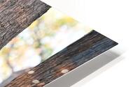 Chilling HD Metal print