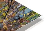 Autumn Leaves HD Metal print