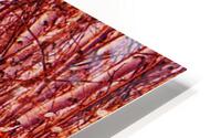 Red Birch HD Metal print