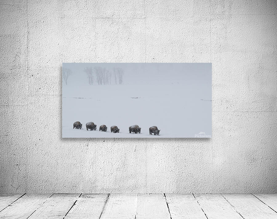 DAV 9402 Wall Preview