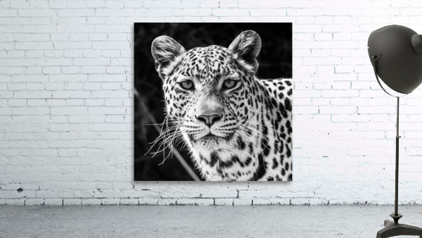 Leopard Portrait Wall Preview
