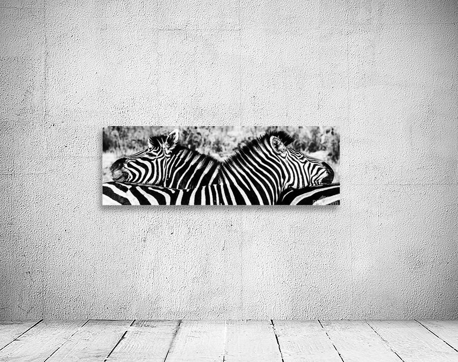 Zebra I got your back Wall Preview