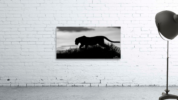 Leopard Silhouette Wall Preview