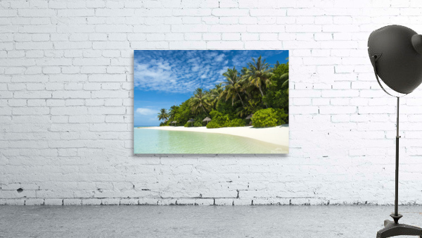Tropical Beach Wall Preview
