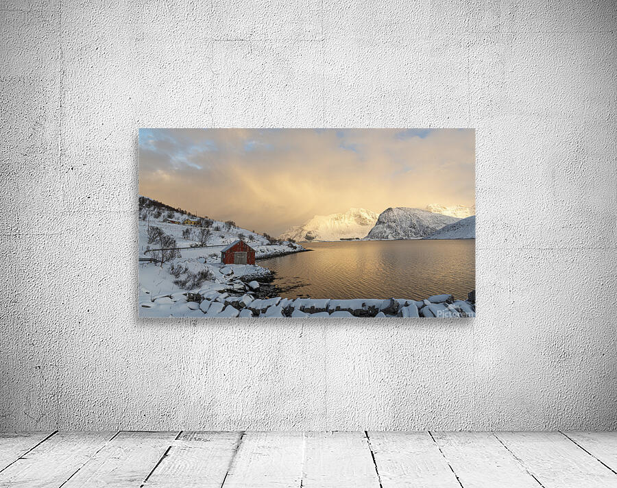 Lofoten Gold Wall Preview