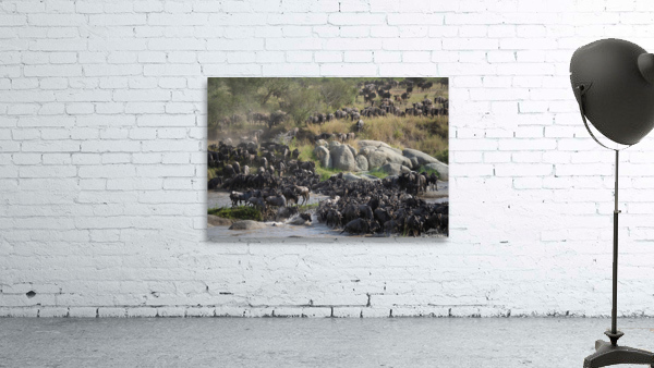 Wildebeast Splash Wall Preview