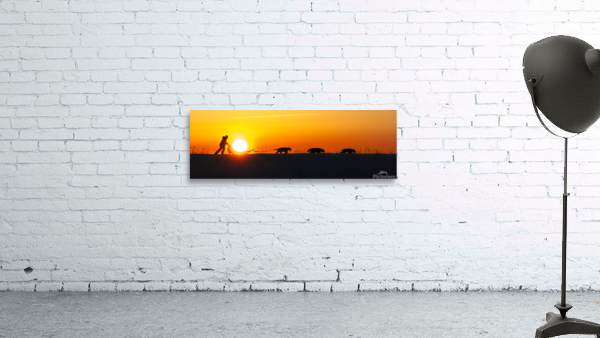 Taking home the sun Wall Preview