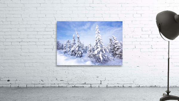 Snowy pines Wall Preview