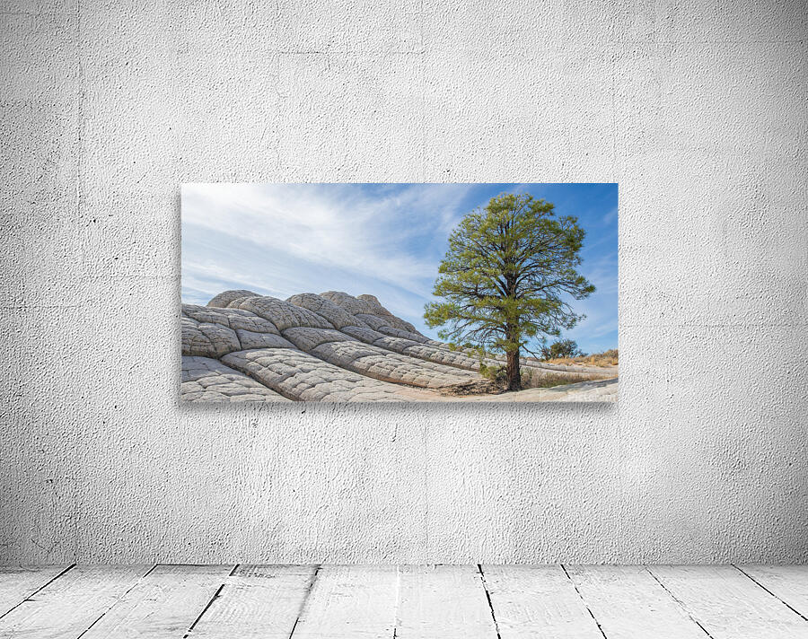 White Pocket Lone Tree Wall Preview