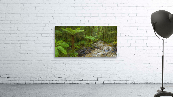 Fern river NZ Wall Preview