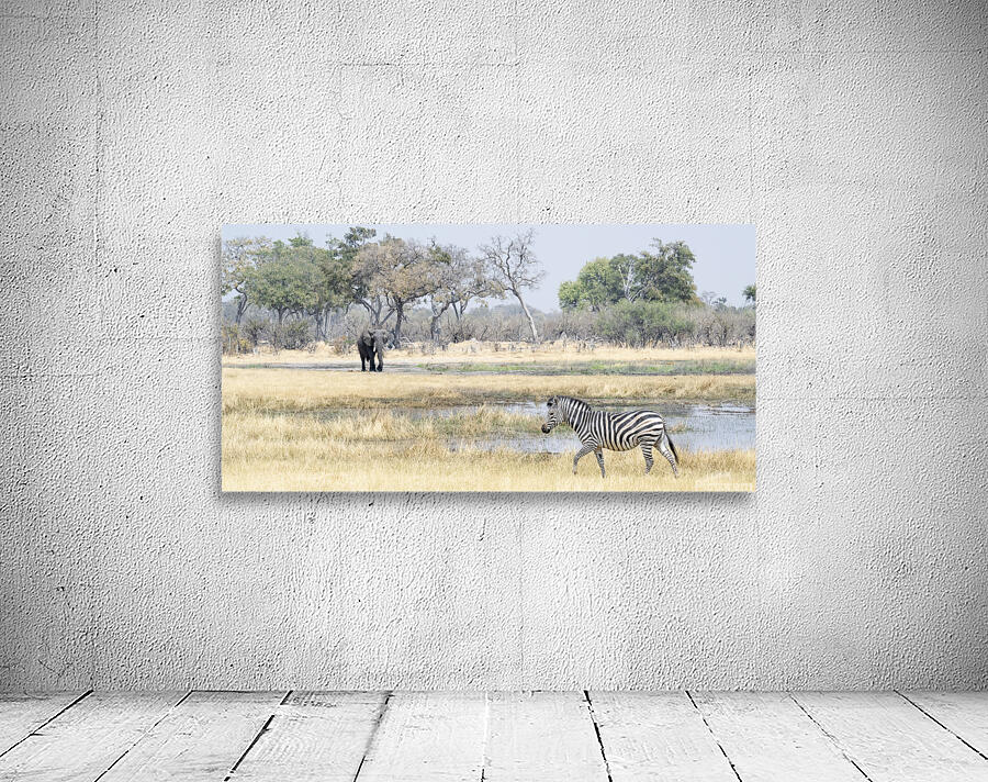 Art DN1 0198 Wall Preview