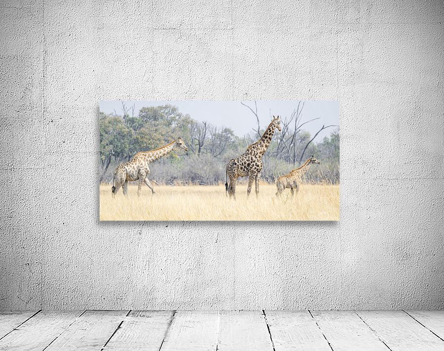 Art DN1 7134 Wall Preview