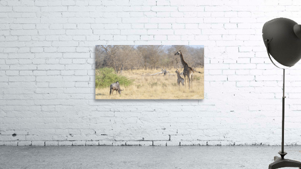 Art cw DN2 6486 Wall Preview