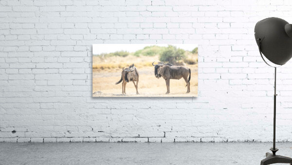 Gnus Wall Preview