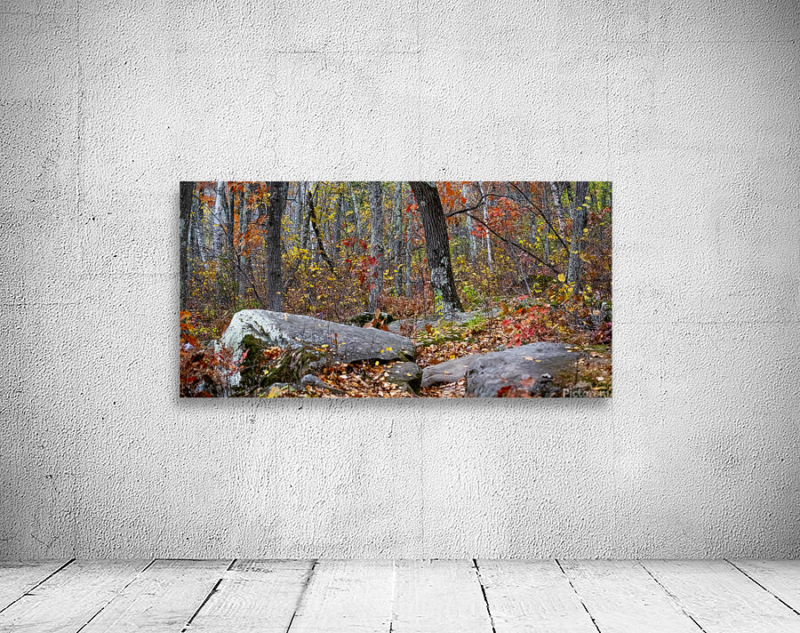Autumn Leaves Wall Preview