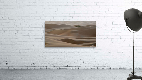 Early Dunes Wall Preview