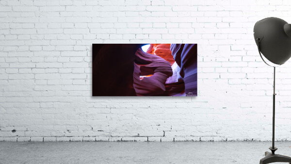 Antelopes Ladies Head Wall Preview