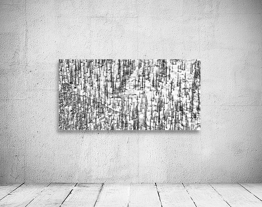 Shadow Forest Wall Preview