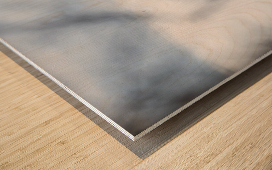 Eagle Scan Wood print