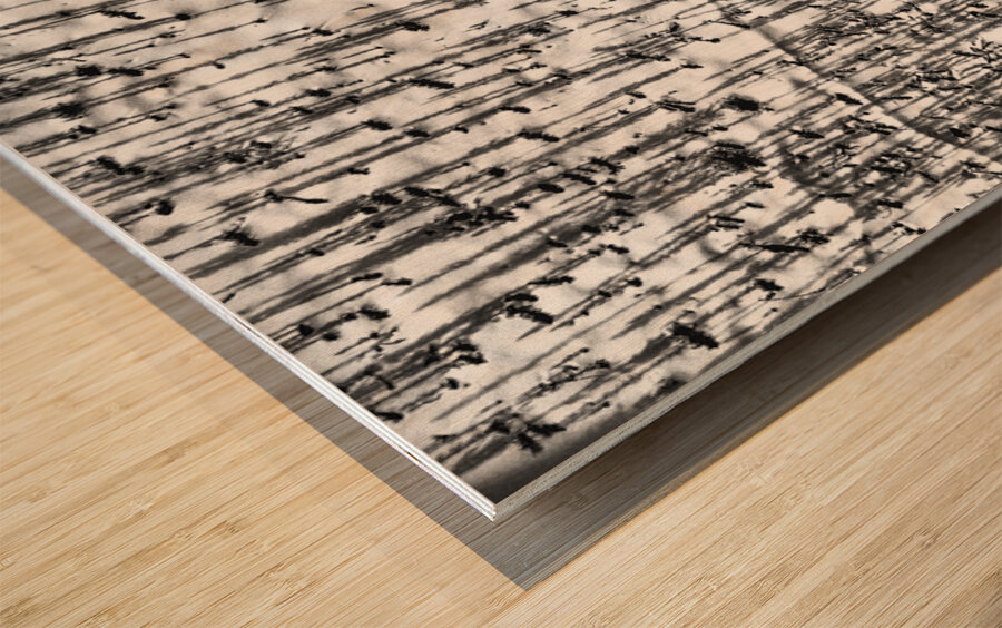 Shadow Forest Wood print