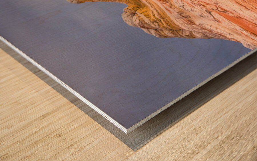 gcww DSC4125 Wood print