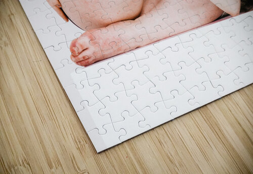 Persian Ballerina Reza Javidi puzzle