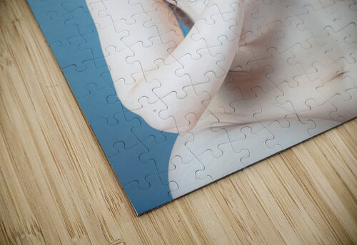 Scar Reza Javidi puzzle