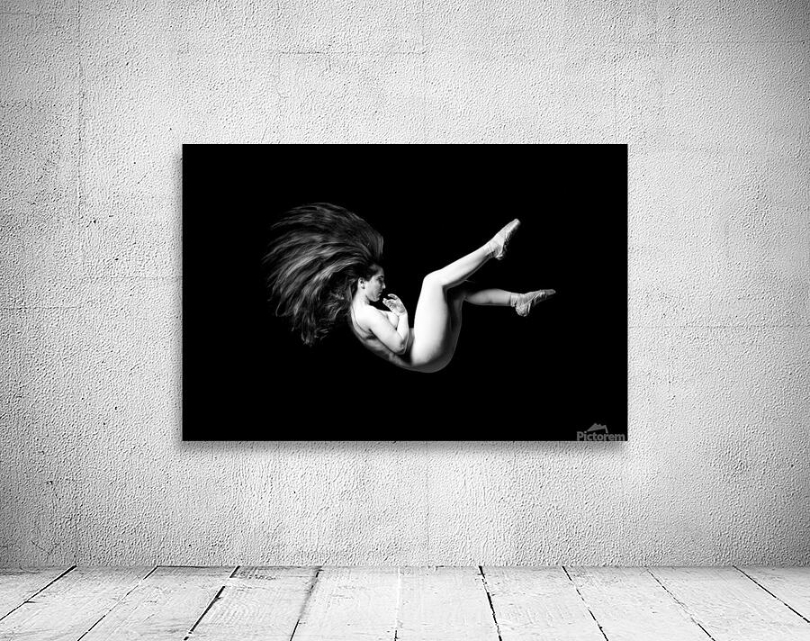 Fetus Ballerina Wall Preview