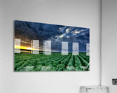 Storm Saskatchewan Canada Acrylic Print