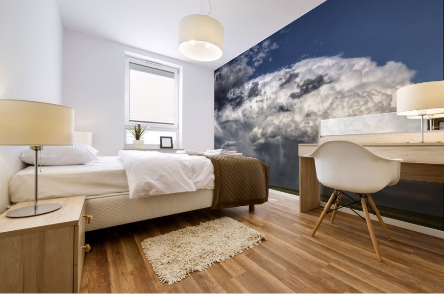 Storm Saskatchewan Canada Mural print