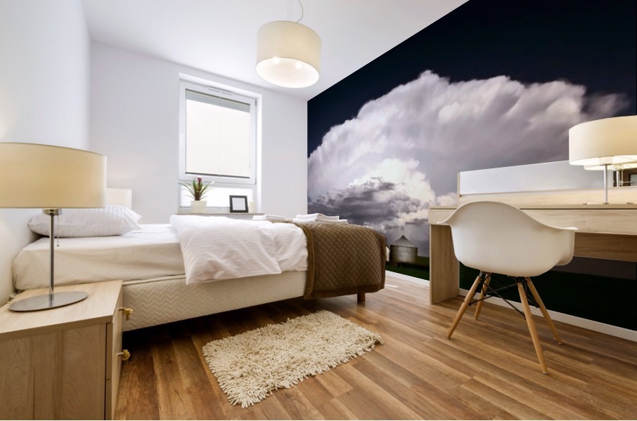 Storm Saskatchewan Canada Mural print