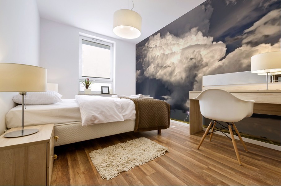 Storm Saskatchewan Canada Mural print