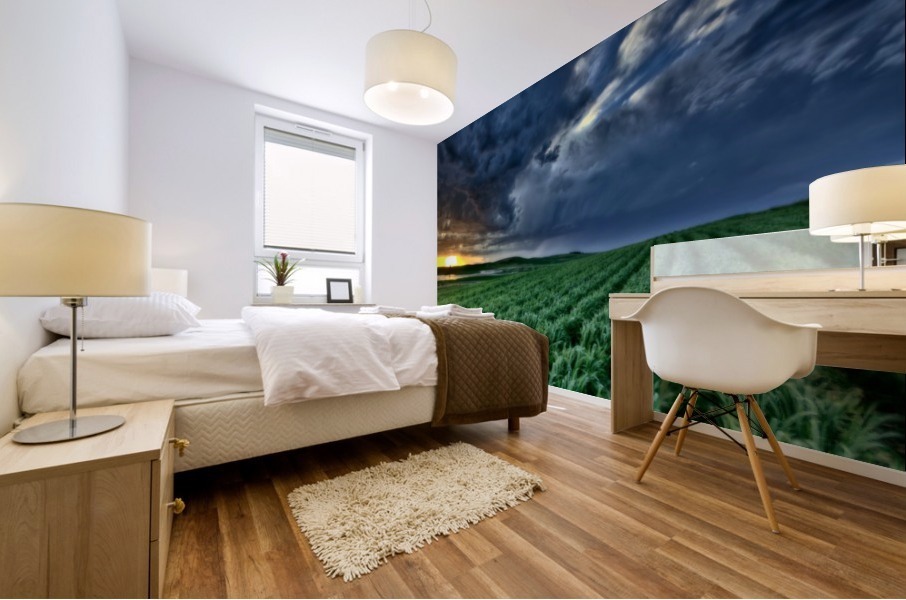Storm Saskatchewan Canada Mural print