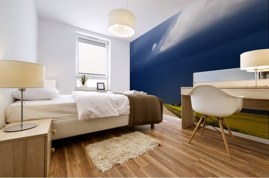 Storm Saskatchewan Canada Mural print
