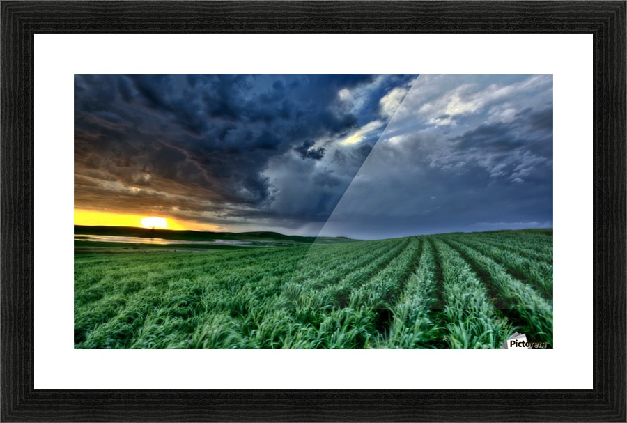 Storm Saskatchewan Canada Picture Frame print