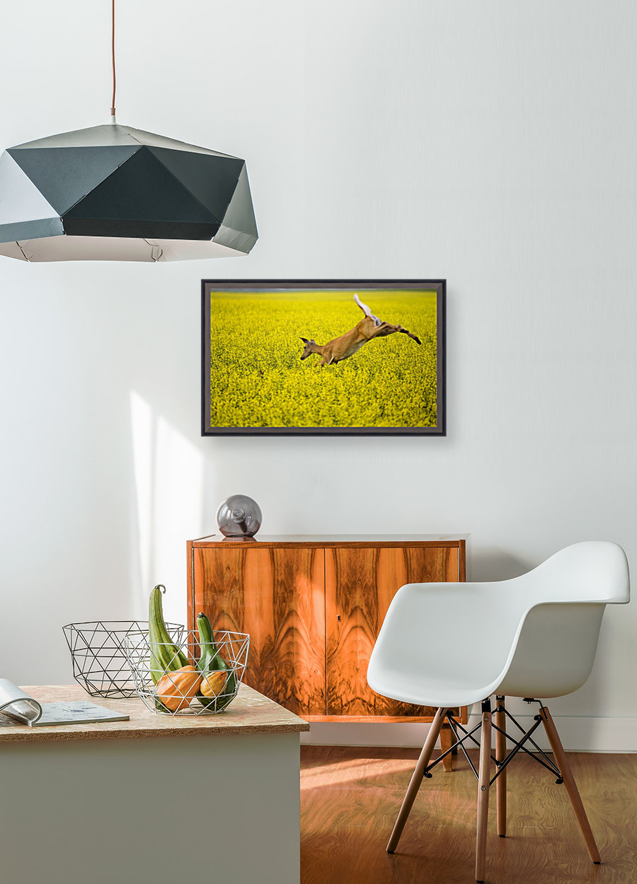 Deer Jump Reproduction