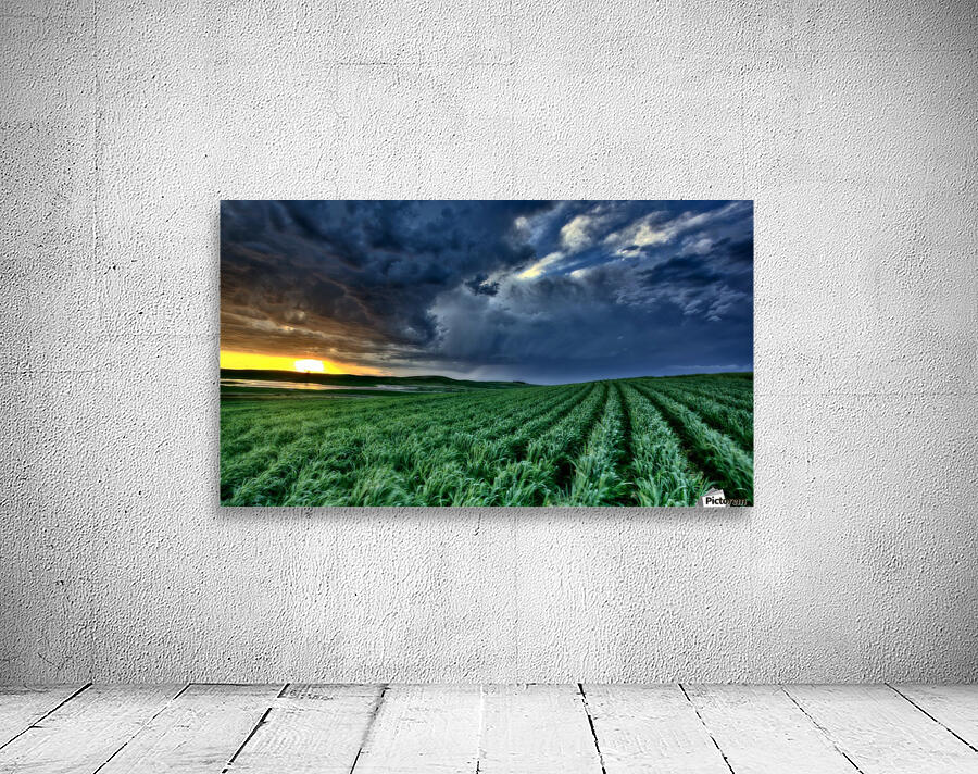 Storm Saskatchewan Canada Wall Preview