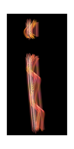 1754 Digital Download