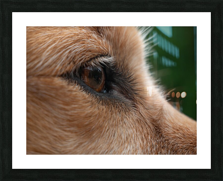 Wellington 2 Picture Frame print
