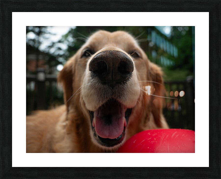 Wellington 3 Picture Frame print