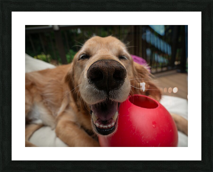 Wellington 4 Picture Frame print