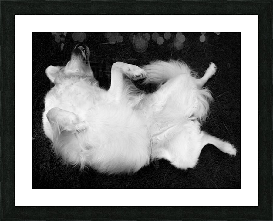 Iya 5 Picture Frame print