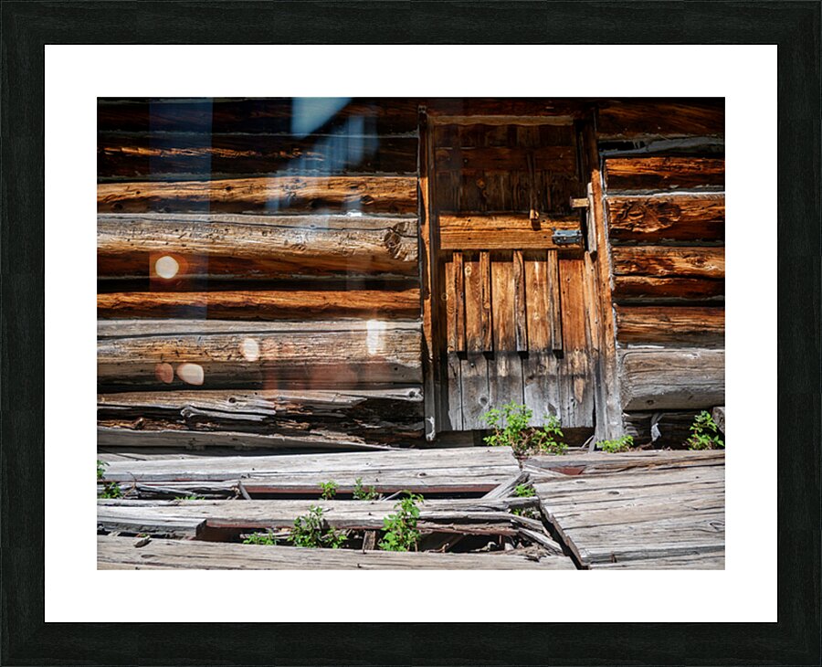 State Forest State Park 3 Picture Frame print